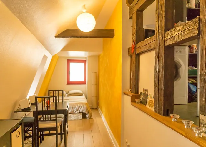 Charming Attic Duplex In The Heart Of Strasbourg